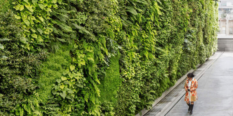 Understanding Instagram’s Green Wall Trend: Impact and Strategies