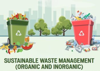 Effective Home Waste Management for Sustainability